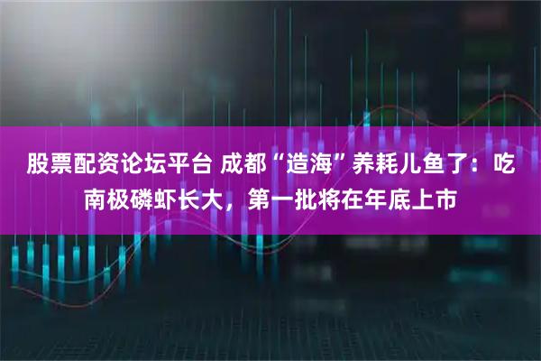 股票配资论坛平台 成都“造海”养耗儿鱼了：吃南极磷虾长大，第一批将在年底上市