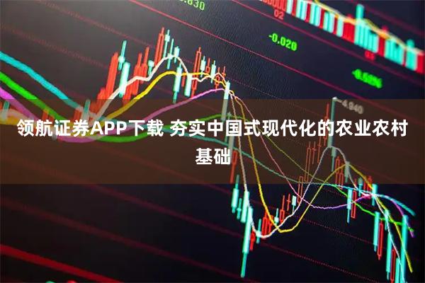 领航证券APP下载 夯实中国式现代化的农业农村基础